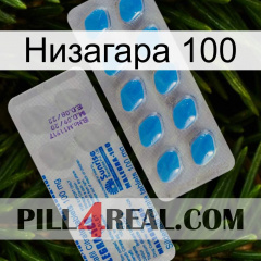 Низагара 100 new15